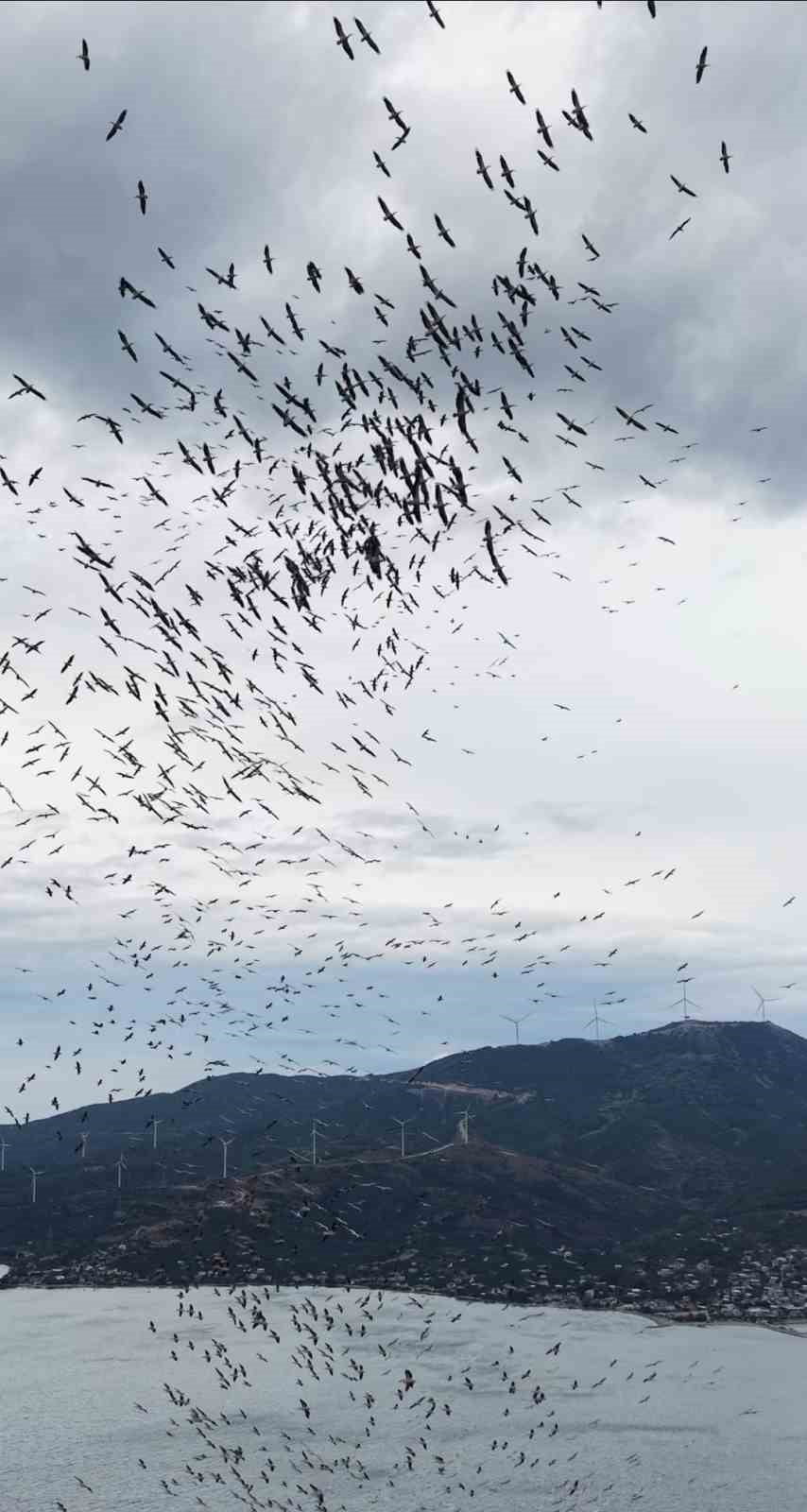 MARMARA DENİZİ'NDE YÜZLERCE KUŞUN DANSI ANDIRAN SENKRONİZE UÇUŞLARI ADETA GÖRSEL BİR ŞÖLEN...