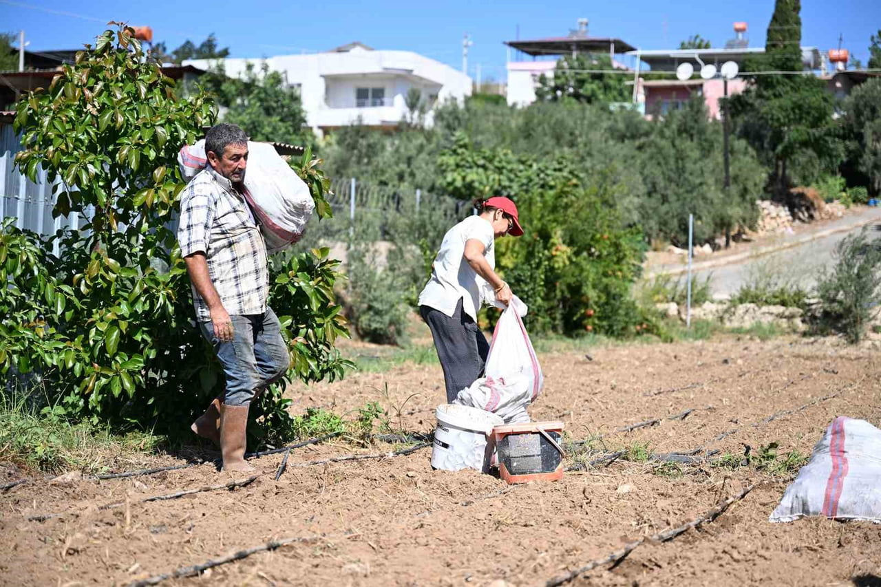 MERSİN’DE TARIMSAL ÜRETİMİN ÇEŞİTLENDİRİLMESİ VE ÜRETİCİLERİN KATMA DEĞERİ YÜKSEK ÜRÜNLERE...