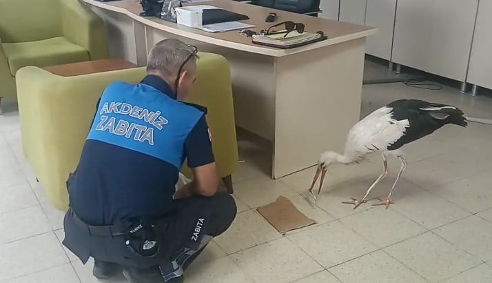 MERSİN’İN AKDENİZ İLÇESİNE BAĞLI KAZANLI MAHALLESİ’NDE BİR İŞ YERİNİN BAHÇESİNDE YARALI HALDE...