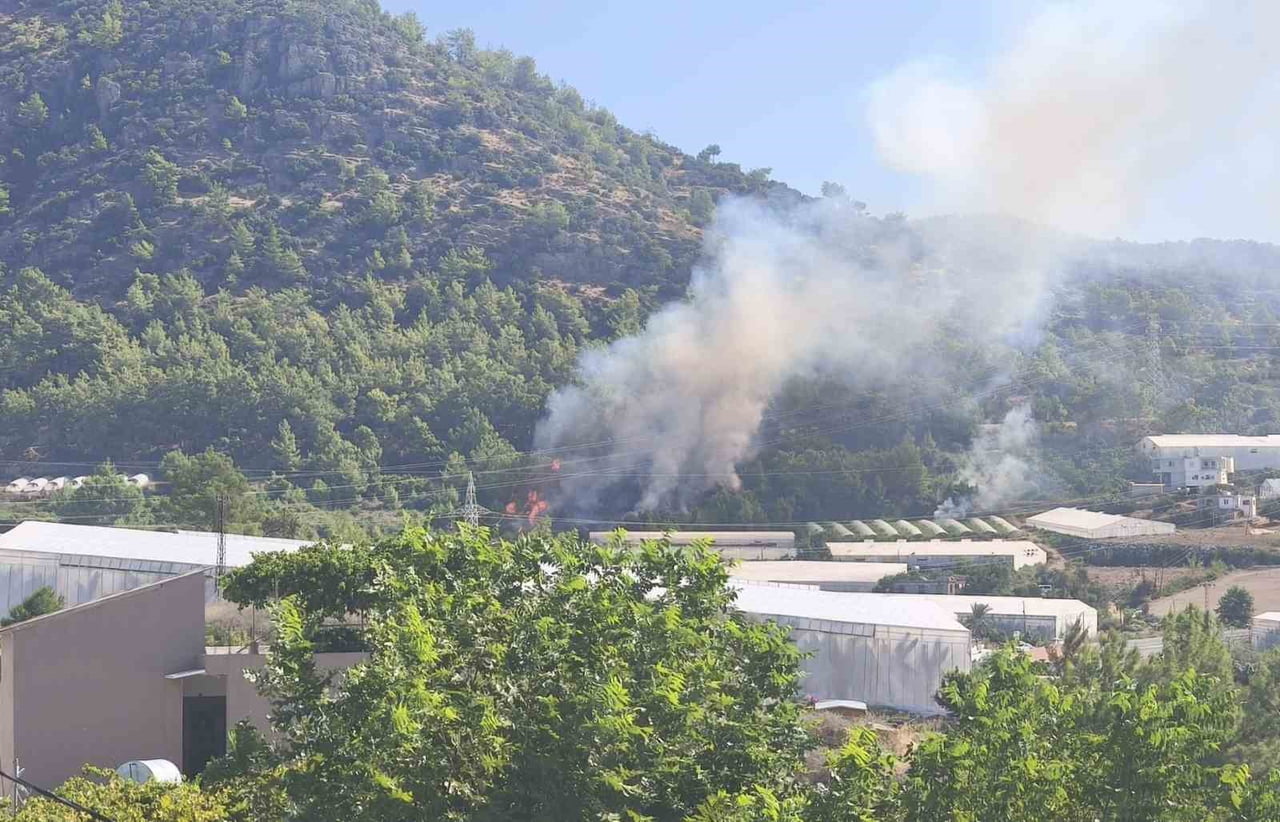 MERSİN’İN BOZYAZI İLÇESİNDE ORMANLIK ALANDA ÇIKAN YANGIN, EKİPLERİN HIZLI MÜDAHALESİYLE BÜYÜMEDEN...