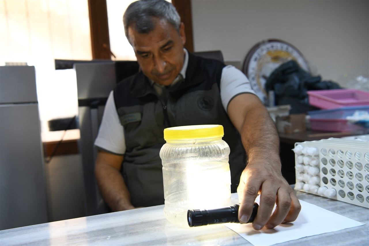 MERSİN ORMAN BÖLGE MÜDÜRÜ ZAFER KIZIL, DAVULTEPE BÖCEK ÜRETİM LABORATUVARINDA İNCELEMELERDE...