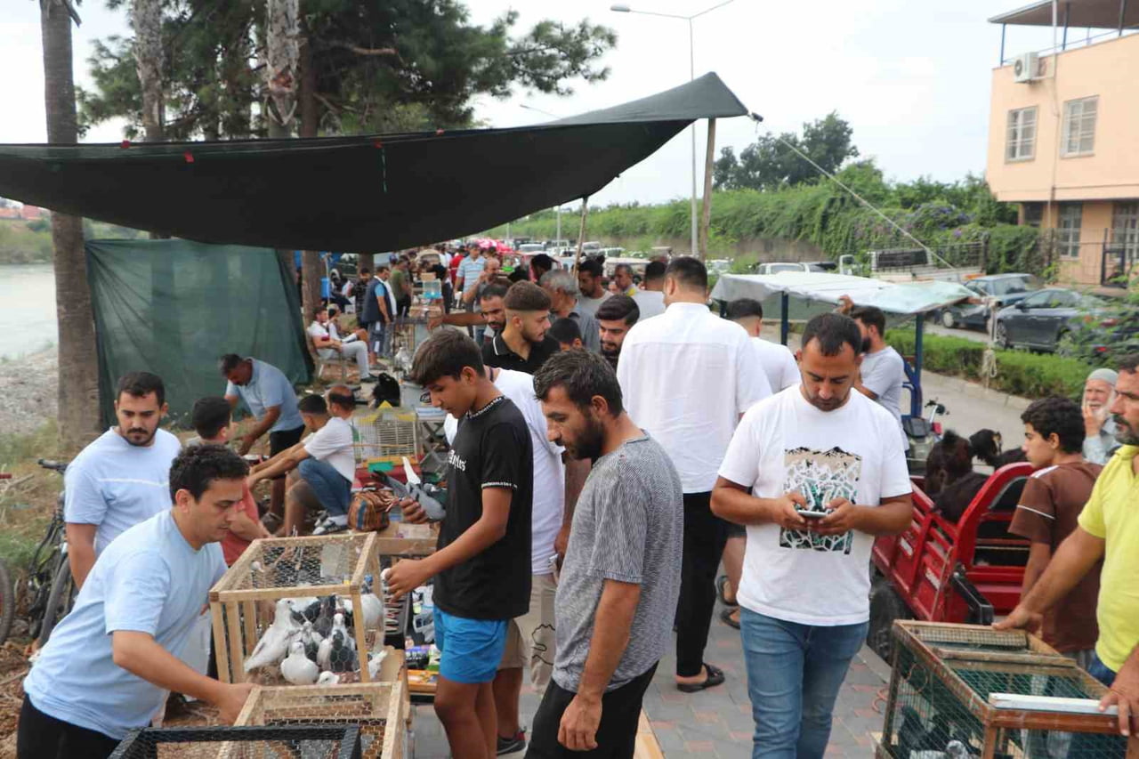 MESTANZADE MAHALLESİ'NDE KURULAN HAYVAN PAZARINDA, ONLARCA TÜRDE KANATLI VE KÜMES HAYVANI SATIŞA...