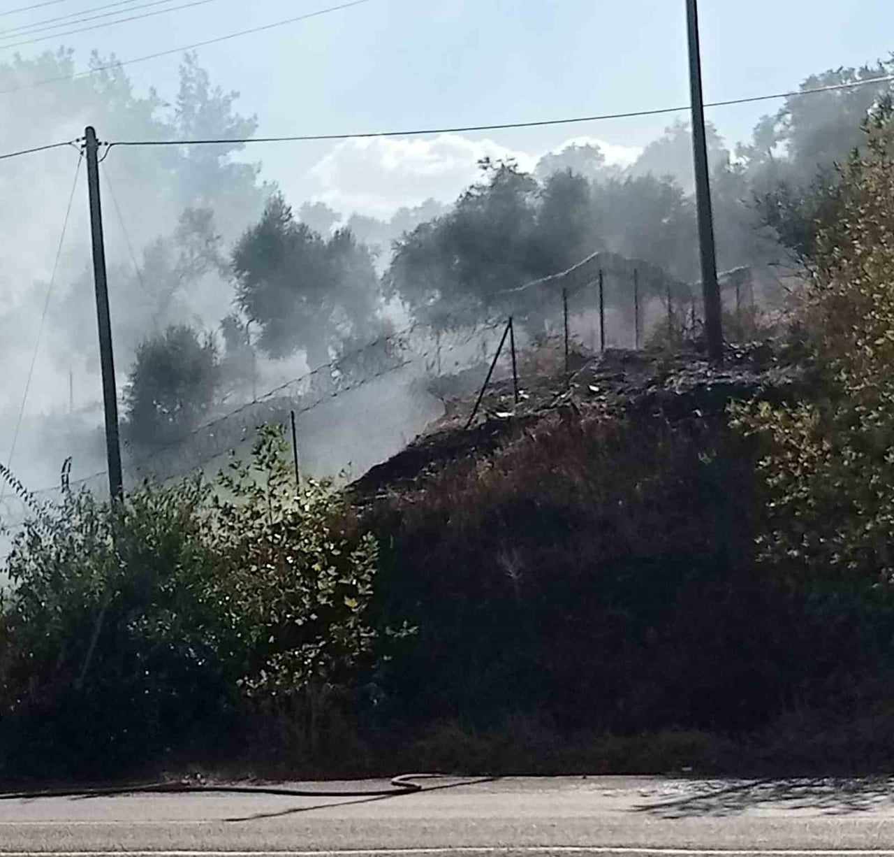 MİLAS-SÖKE KARAYOLU SELİMİYE MAHALLE SINIRLARINDA KARAYOLU KENARINDA BAŞLAYAN OTLUK YANGINI...