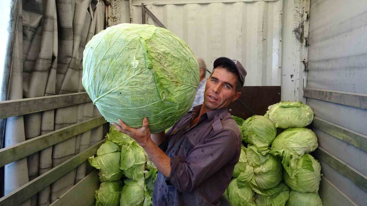 MURTAZA KAYA, SÖĞÜTLÜ LAHANASI HAKKINDA KONUŞTU.
