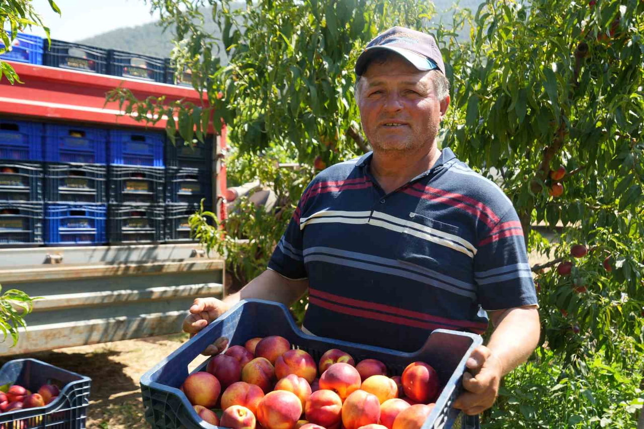 NEKTARİN ÜRETİCİSİ RECEP YAĞCI