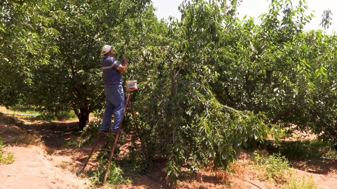 NİĞDE'NİN ULUKIŞLA İLÇESİNE BAĞLI EMİRLER KÖYÜNDE HAYATA GEÇİRİLEN KAPALI SİSTEM SULAMA TESİSLERİ...