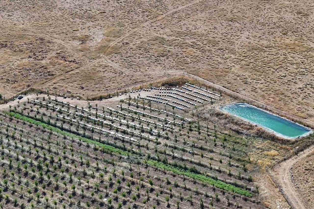 NİĞDE’NİN 1800 RAKIMLI TUMLU YAYLASI’NDA GEVEN BALI BEREKETİ