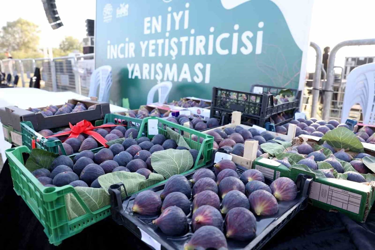 NİLÜFER BELEDİYESİ’NİN GELENEKSELLEŞEN 12. AKÇALAR FADILLI İNCİR FESTİVALİ, 13 EYLÜL PAZAR GÜNÜ...