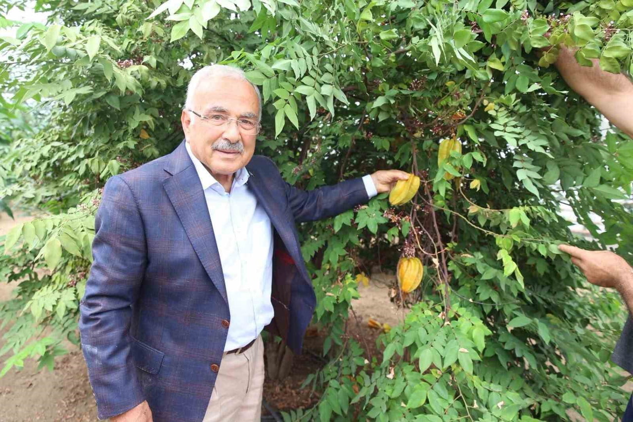 ORDU BÜYÜKŞEHİR BELEDİYE BAŞKANI DR. MEHMET HİLMİ GÜLER, SERADA YÜRÜTÜLEN ÇALIŞMALARI YERİNDE...