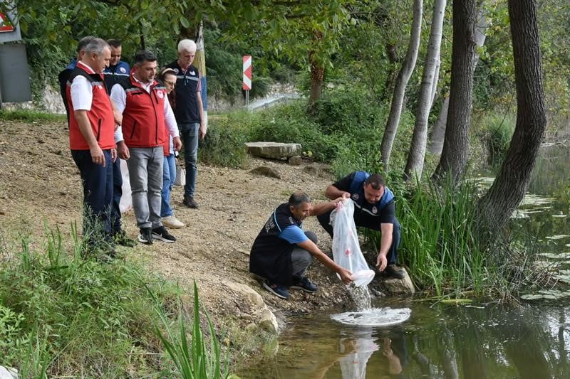 ORDU’DA SU ÜRÜNLERİ POTANSİYELİNİN GELİŞTİRİLMESİ AMACIYLA 80 BİN YAVRU SAZAN BALIĞI, AYBASTI...