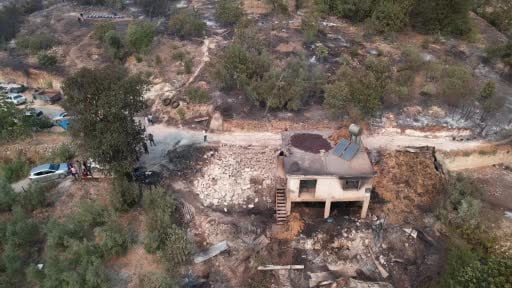 Orman yangınında acı bilanço: 19 hane yandı