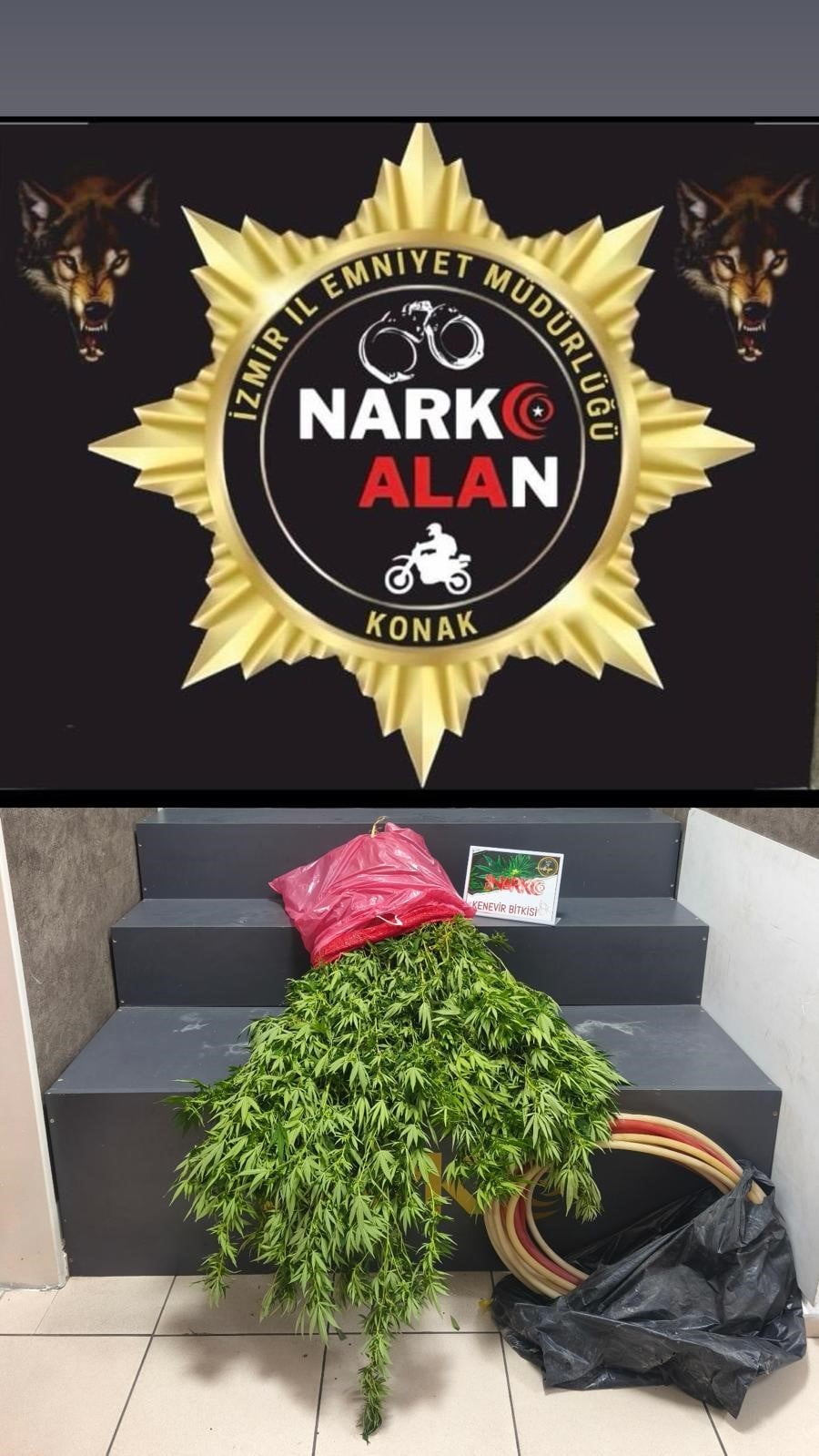 POLİS EKİPLERİ TARAFINDAN BİR ADRESE DÜZENLENEN UYUŞTURUCU OPERASYONUNDA, BAHÇEYE EKİLİ HALDE 40...