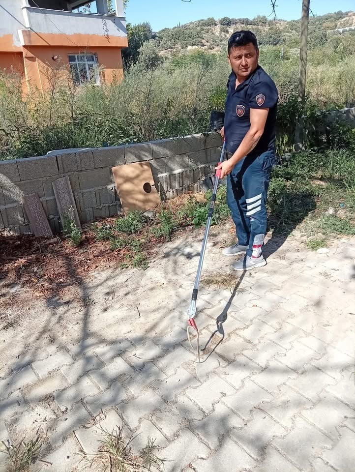 SAMANDAĞ ATAKÖY MAHALLESİ’NDE YERLEŞİM YERİNDE YAKALANARAK DOĞAL YAŞAM ALANINA BIRAKILAN...