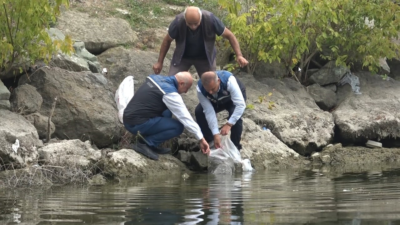 SAMSUN'UN İÇ SU KAYNAKLARININ BALIK POPÜLASYONUNU ARTIRMAK, SU ÜRÜNLERİ KAYNAKLARINI...