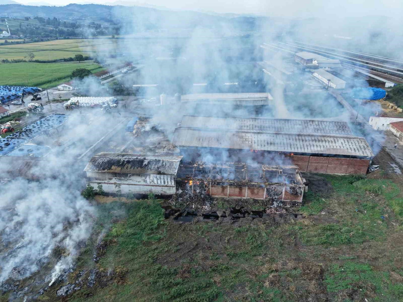 SAMSUN’UN BAFRA İLÇESİNDE BİNLERCE HAYVANIN BULUNDUĞU ÇİFTLİKTE SAMANLIK DEPOSU YANGINI HAVADAN...