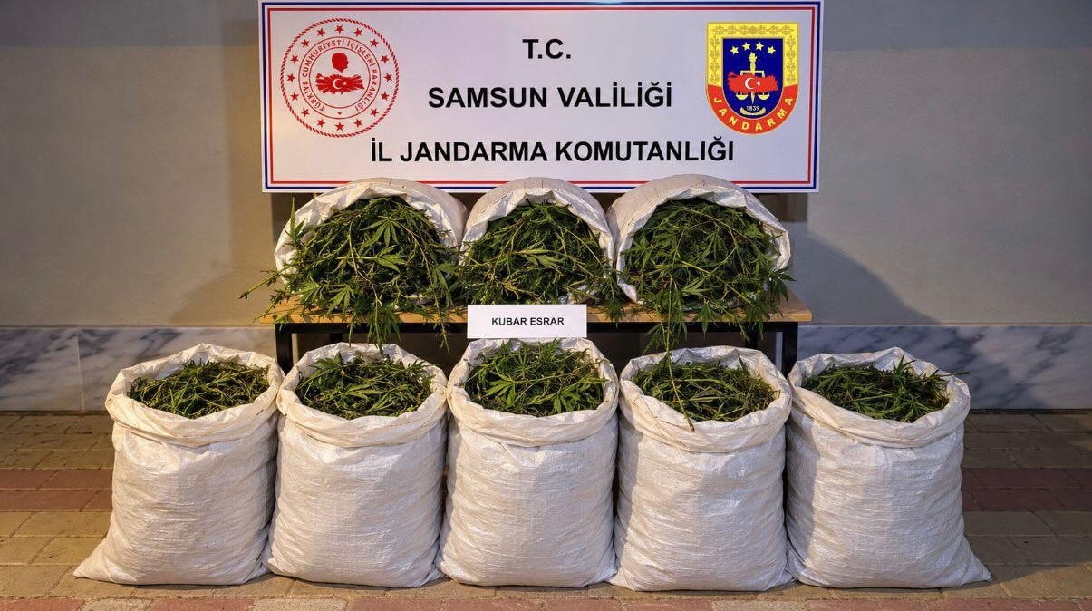 SAMSUN’UN BAFRA İLÇESİNDE JANDARMA EKİPLERİNCE DÜZENLENEN UYUŞTURUCU OPERASYONUNDA 63 KİLOGRAM...