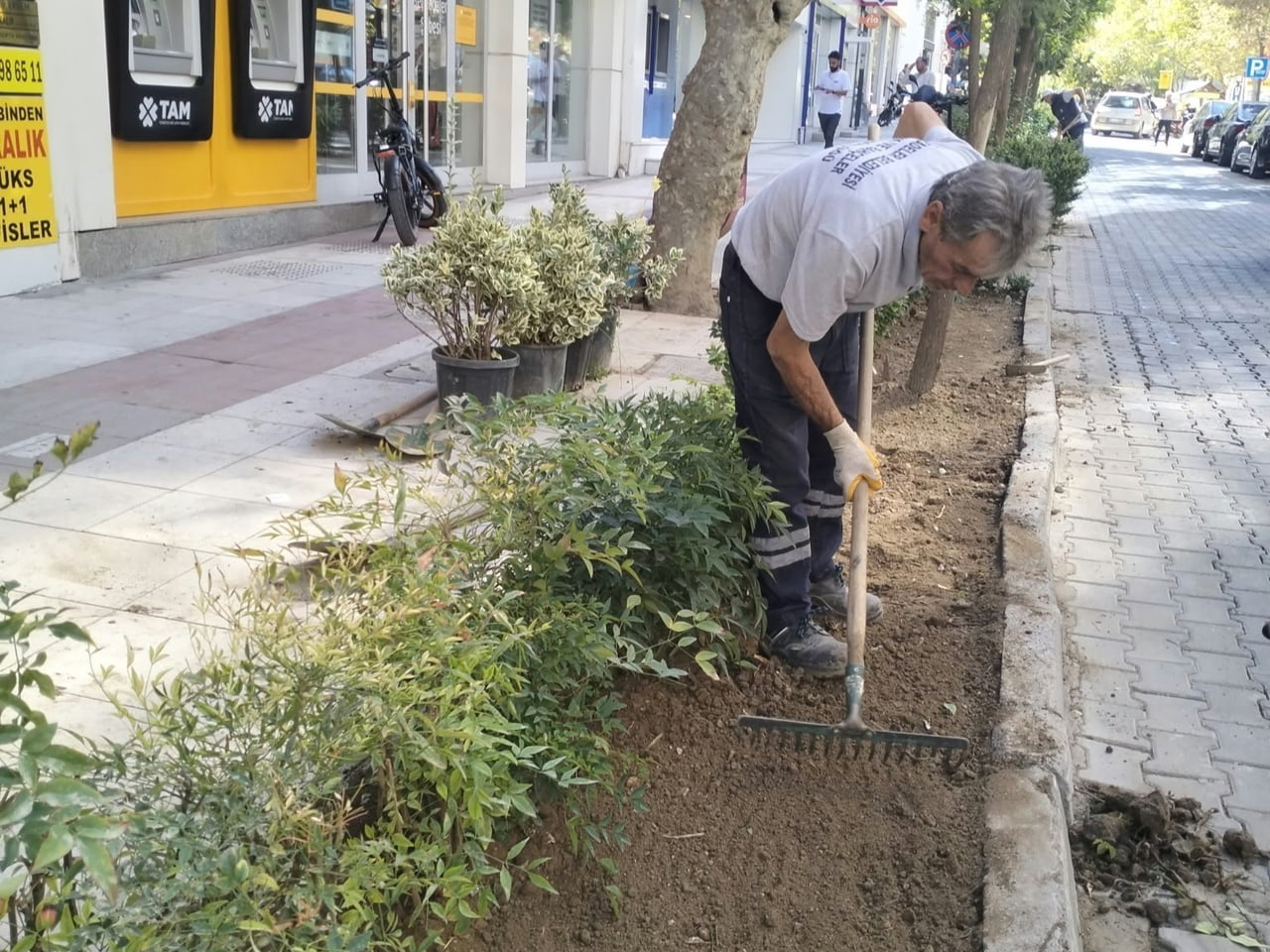 ŞEHZADELER BELEDİYESİ PARK VE BAHÇELER MÜDÜRLÜĞÜ EKİPLERİ, İLÇE GENELİNDEKİ PARK VE YEŞİL...