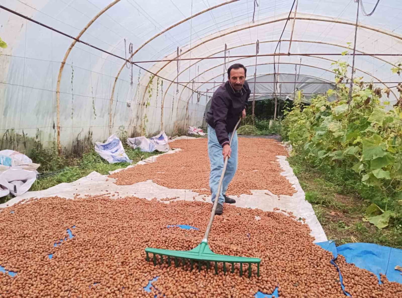 SENAYİ OF, GÜNÜN BELİRLİ SAATLERİNDE SERAYA GİDEREK MAHSULÜNÜ KARIŞTIRIYOR.