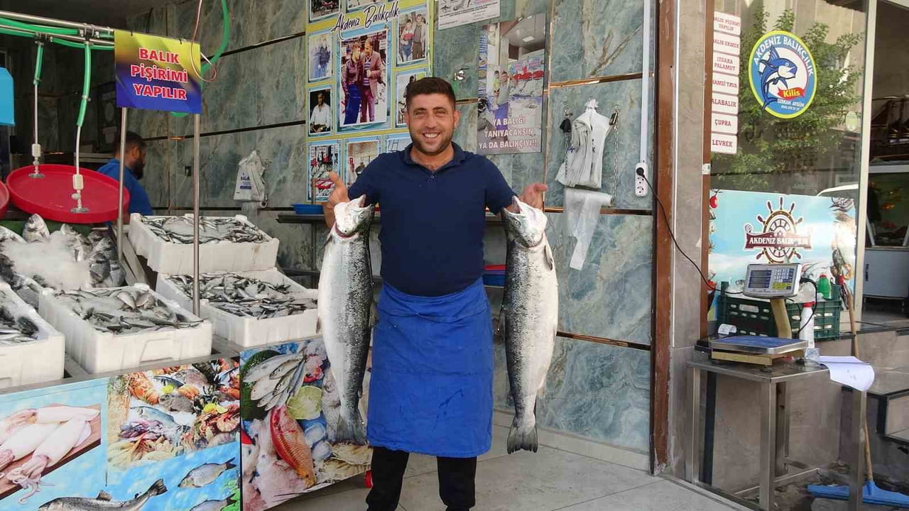 SERKAN AYGÜN