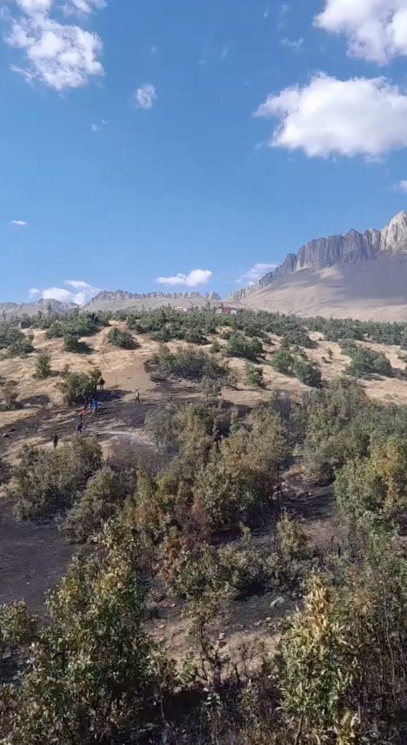 ŞIRNAK’IN BEYTÜŞŞEBAP İLÇESİNE BAĞLI KOYUNOBA KÖYÜNDE ORMANLIK ALANDA ÇIKAN YANGIN PANİĞE NEDEN...