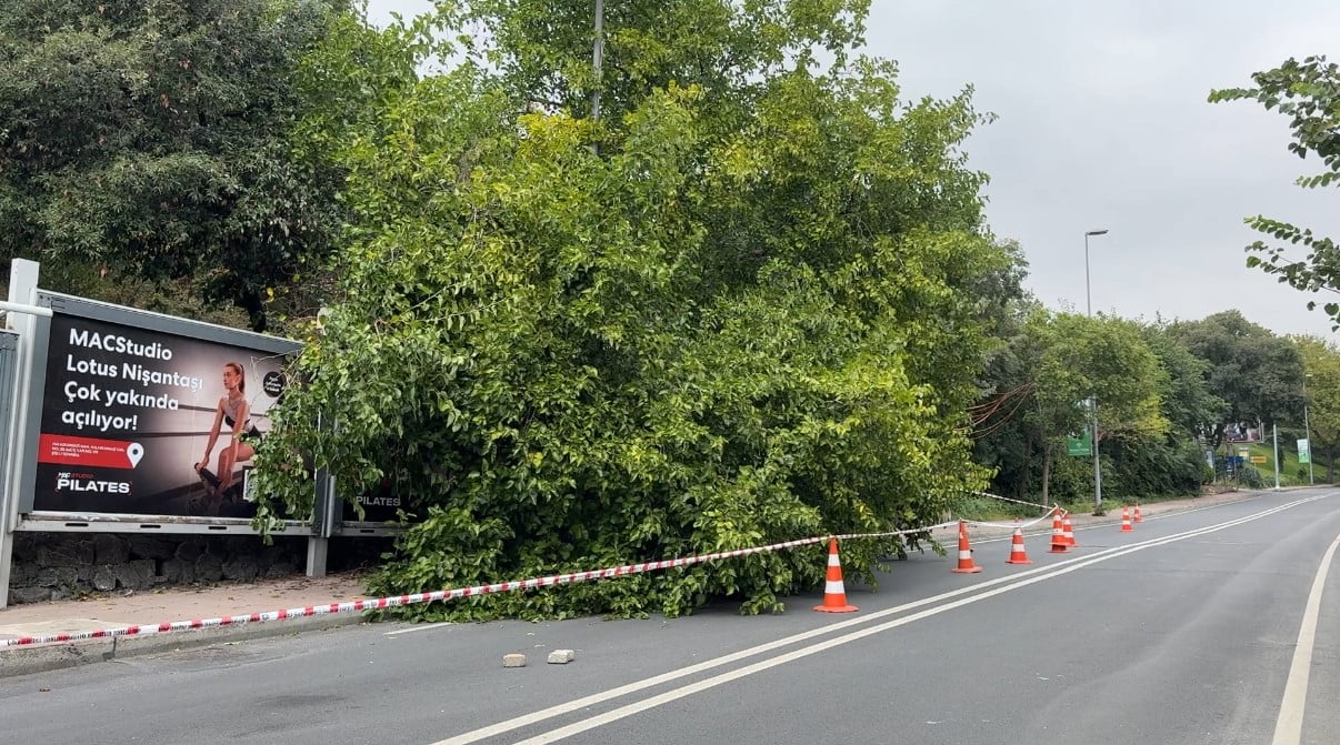 ŞİŞLİ’DE AĞAÇLAR DEVRİLDİ