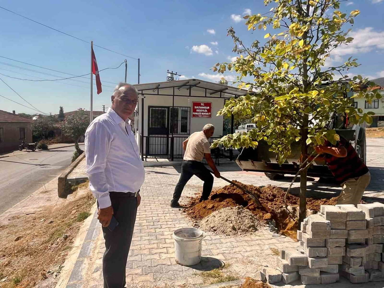 SULTANHİSAR BELEDİYESİ TARAFINDAN İLÇENİN FARKLI NOKTALARINDA YÜRÜTÜLEN AĞAÇLANDIRMA ÇALIŞMALARI...