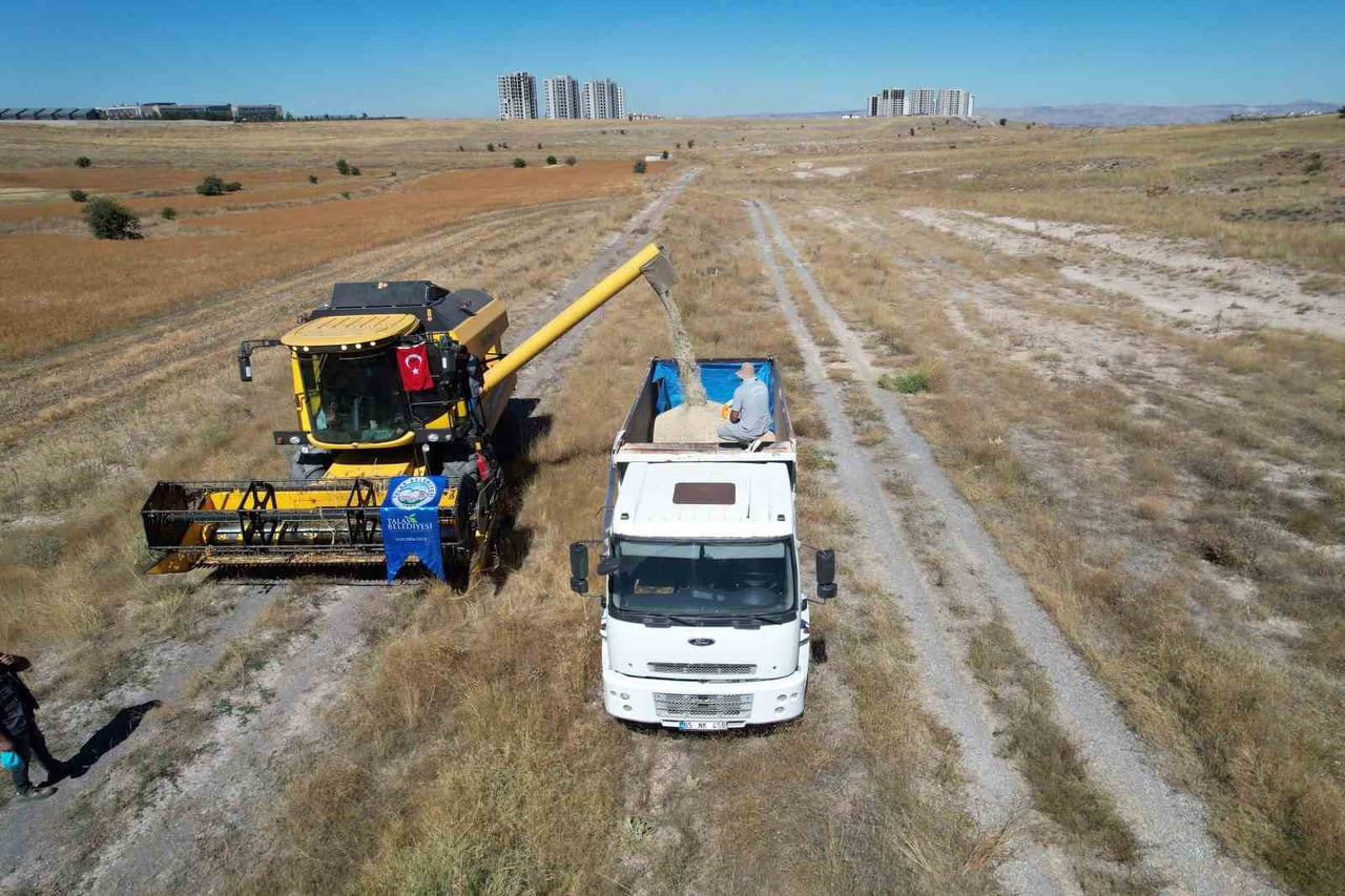 TALAS BELEDİYESİ'NİN ATIL DURUMDAKİ TARIM ARAZİLERİNİ ÜRETİME KAZANDIRMA ÇALIŞMALARI KAPSAMINDA...