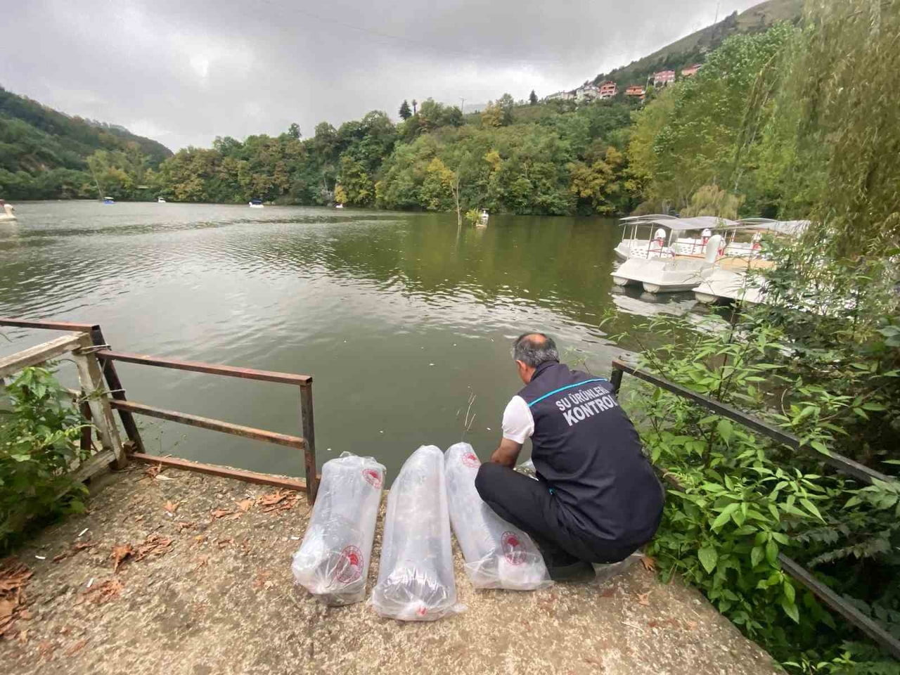 TARIM VE ORMAN BAKANLIĞI TARAFINDAN YÜRÜTÜLEN BALIKLANDIRMA ÇALIŞMALARI ÇERÇEVESİNDE  TRABZON’DAKİ...