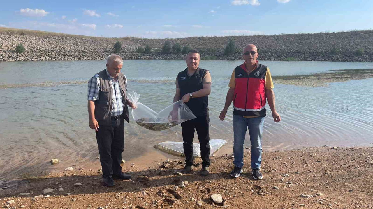 TARIM VE ORMAN BAKANLIĞI TARAFINDAN YÜRÜTÜLEN "SU KAYNAKLARININ BALIKLANDIRILMASI PROJESİ"...