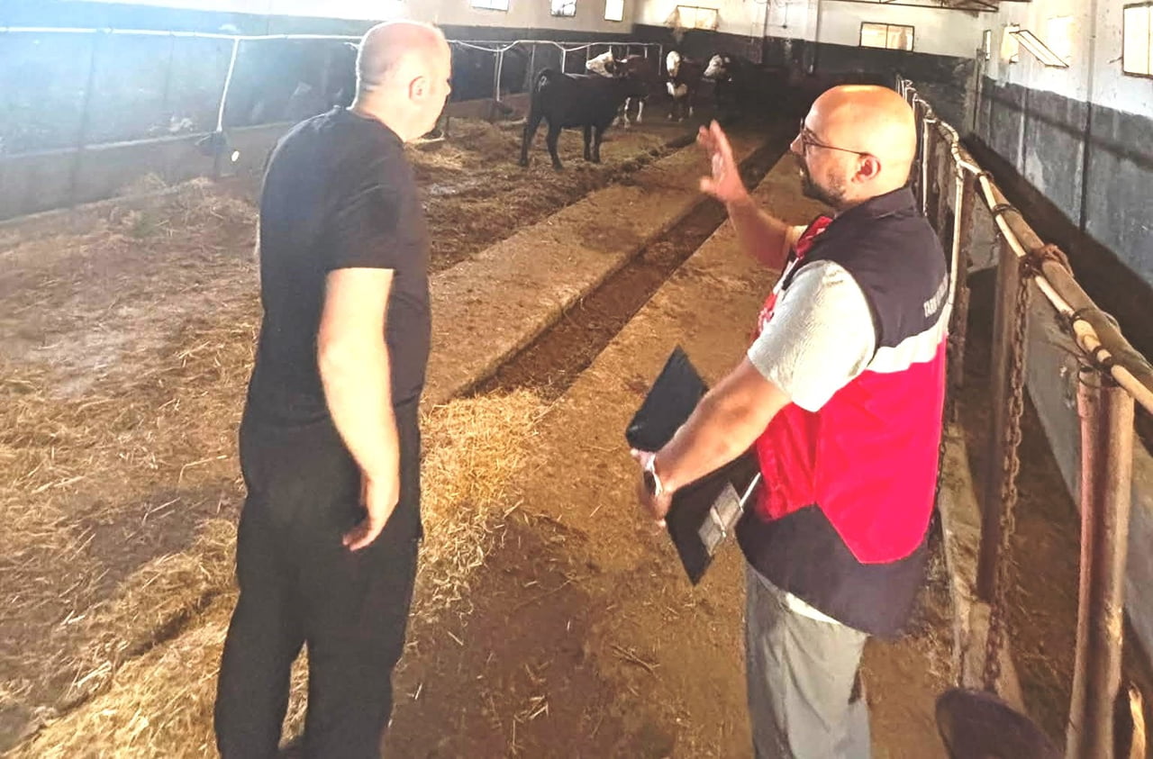 TAVŞANLI’DA DESTEK PROJESİ KAPSAMINDAKİ İTHAL HAYVANLAR KONTROLDEN GEÇİRİLDİ