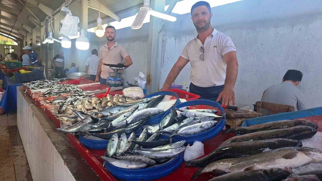 TEZGAHLARDA PALAMUT BOLLUĞU