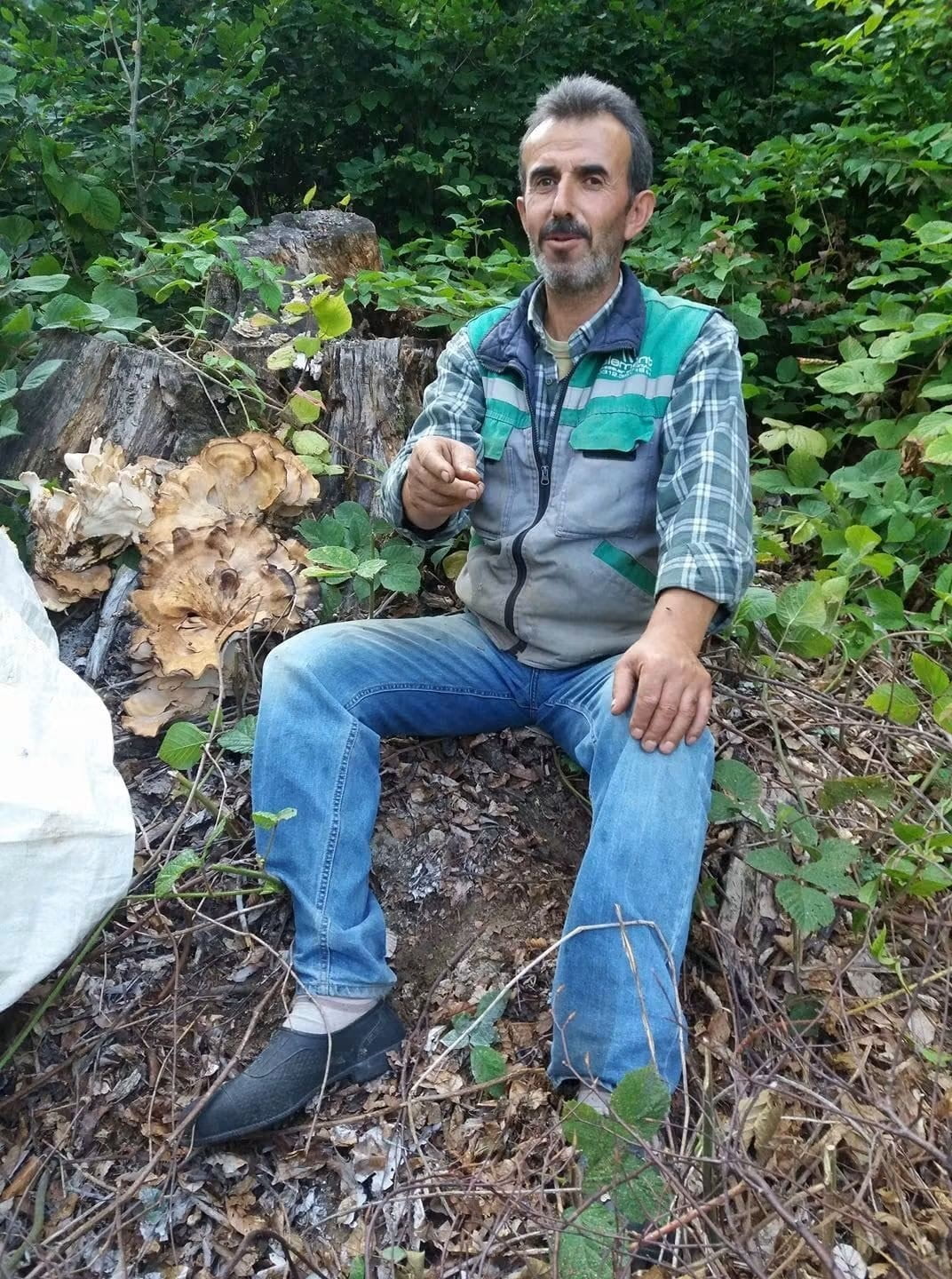 TÜRKELİ'DE TRAKTÖR DEVRİLDİ: 1 KİŞİ HAYATINI KAYBETTİ SİNOP'UN TÜRKELİ İLÇESİNE BAĞLI DİREKLİ...