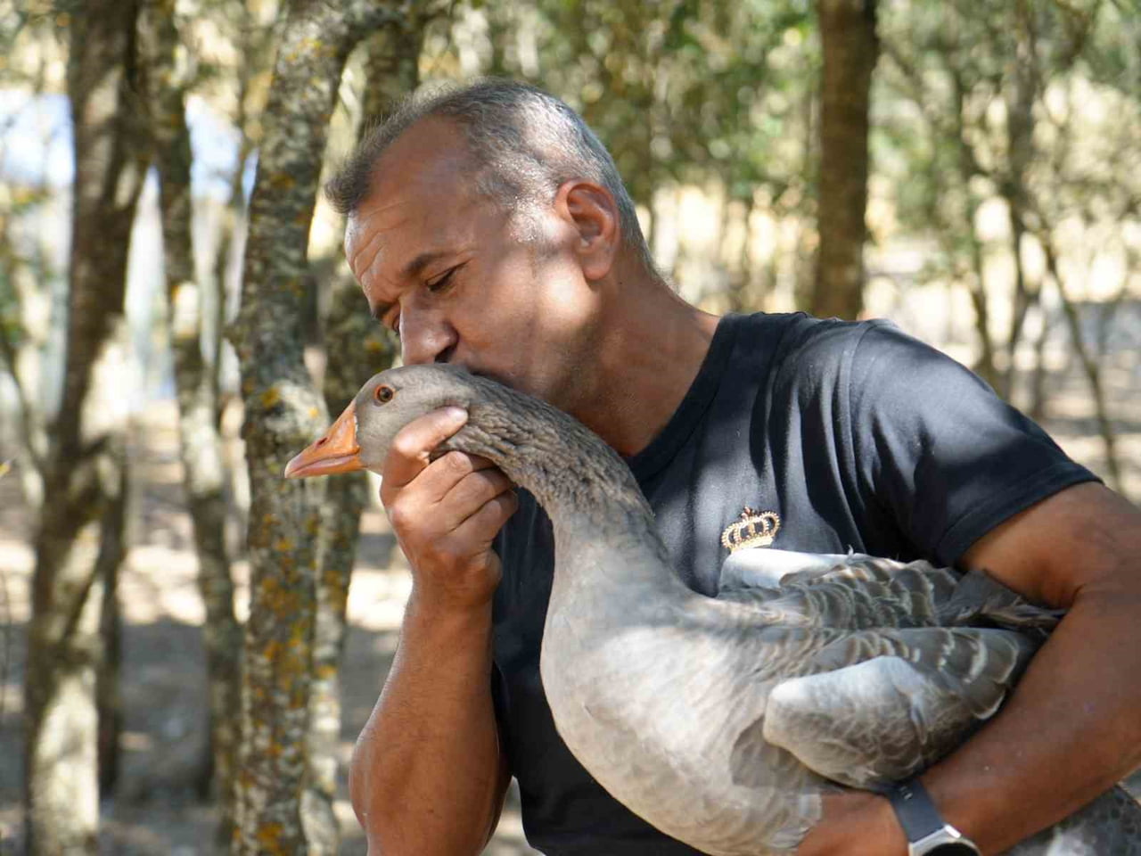 ÜRETİMDE AMAÇLARININ ÇOK SAYIDA KAZ YETİŞTİRMEK OLMADIĞINI SÖYLEYEN SUAT BAYRAMOĞLU, "HEDEFİMİZ...