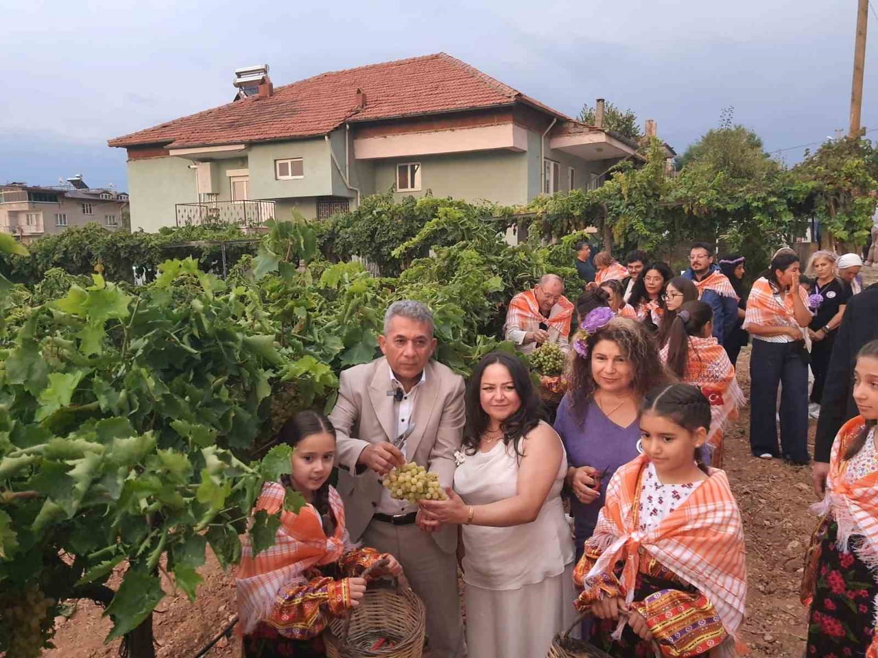 YAĞMURA RAĞMEN COŞKUNUN DİNMEDİĞİ ÇAL’DA BAĞBOZUMU; ÜZÜMÜN BEREKETİ, KÜLTÜRÜN GÜCÜ VE EDİP...