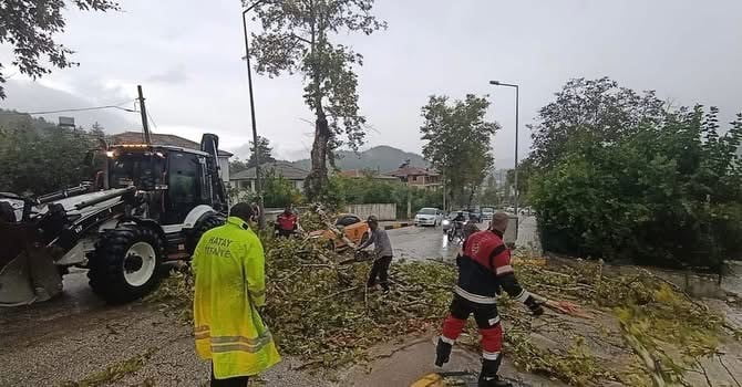 YAYLADAĞI ÇAMALTI MAHALLESİ’NDE RÜZGÂRIN ETKİSİYLE ARACIN ÜZERİNE DEVRİLEN AĞACIN EKİPLER...