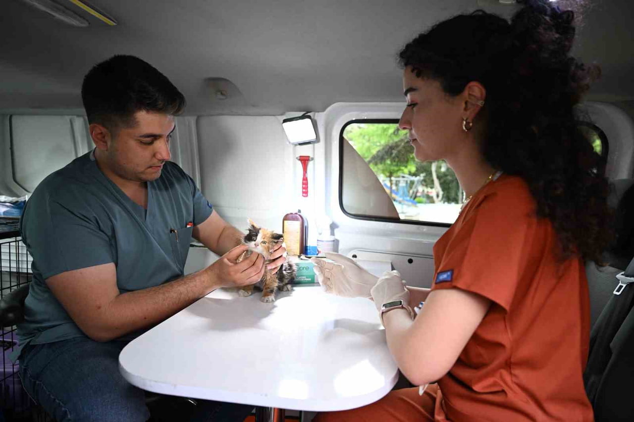 YILDIRIM BELEDİYESİ, HAYATA GEÇİRDİĞİ GEZİCİ MOBİL SOKAK ARACI (PATİVET) İLE SAHİPSİZ SOKAK...