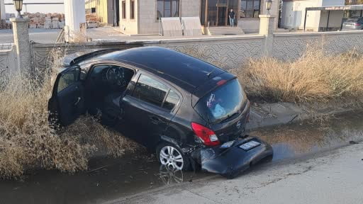 Yola çıkan köpek kazaya neden oldu: 1 yaralı