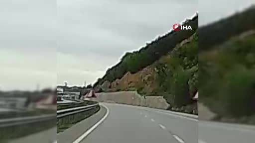 Yola düşen geyiğin yardımına koştu