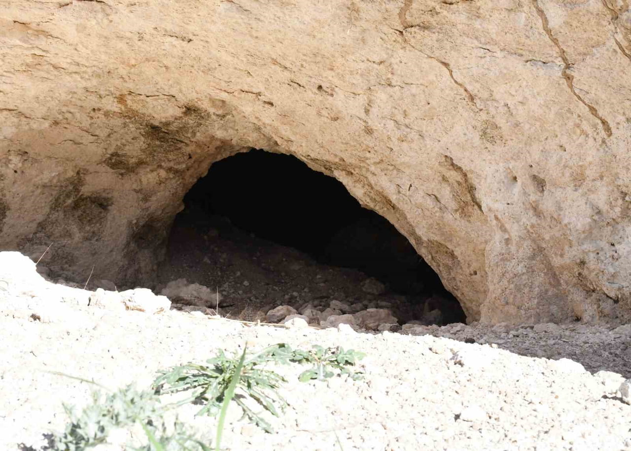 YOZGAT'IN ŞEFAATLİ İLÇESİNE BAĞLI KÜÇÜKİNCİRLİ KÖYÜNDE, GELENEKSEL PEKMEZ YAPIMININ VAZGEÇİLMEZ...