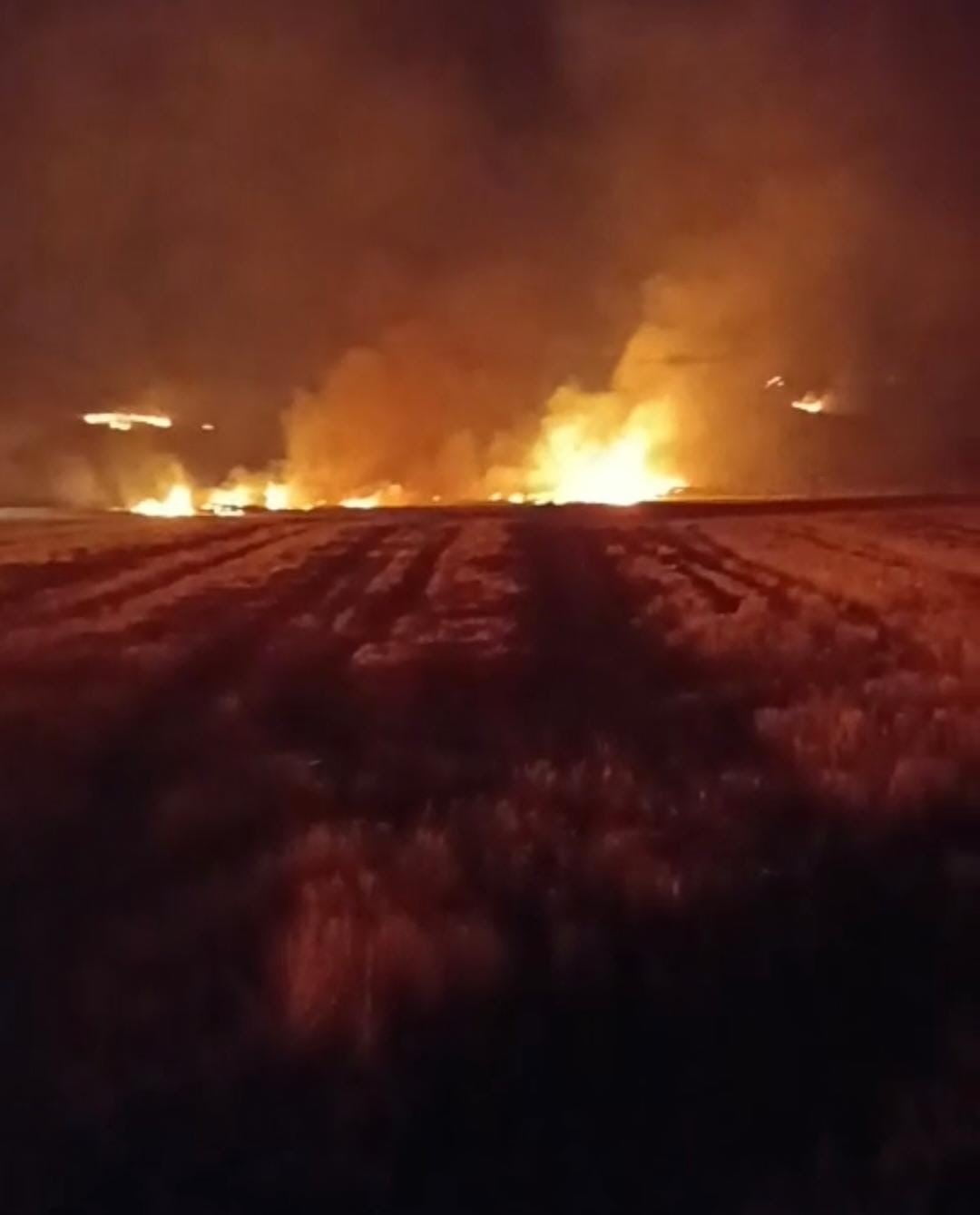 YOZGAT’TA ÇIKAN YANGINDA BİN 500 DÖNÜM ARAZİ YANDI.