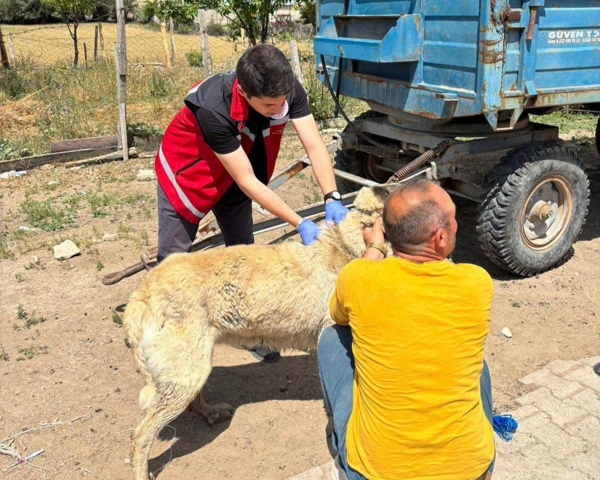 YOZGAT VALİLİĞİ, YÜKÜMLÜLÜKLERİNİ YERİNE GETİRMEYEN HAYVAN SAHİPLERİNE UYGULANACAK CEZALAR...