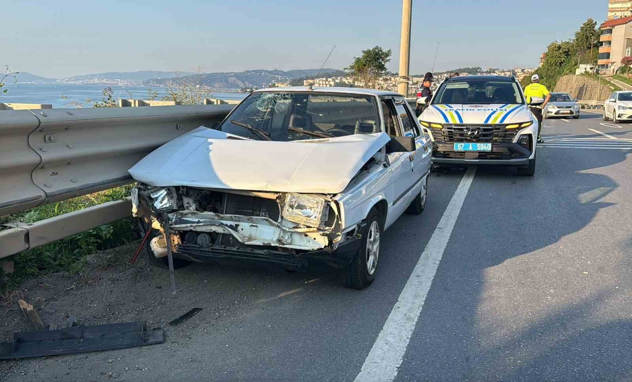 ZONGULDAK'IN ALAPLI İLÇESİNDE YOLA FIRLAYAN KÖPEĞE ÇARPMAMAK İÇİN FREN YAPAN OTOMOBİLE ARKADAN...