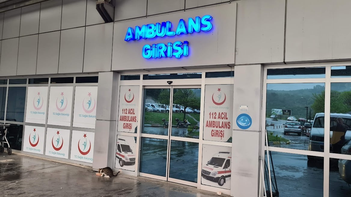ZONGULDAK (İHA) - ZONGULDAK’IN ALAPLI İLÇESİNE BAĞLI ÇİÇEKLİ KÖYÜNDE AĞAÇTAN DÜŞEN BİR KİŞİ İLE...