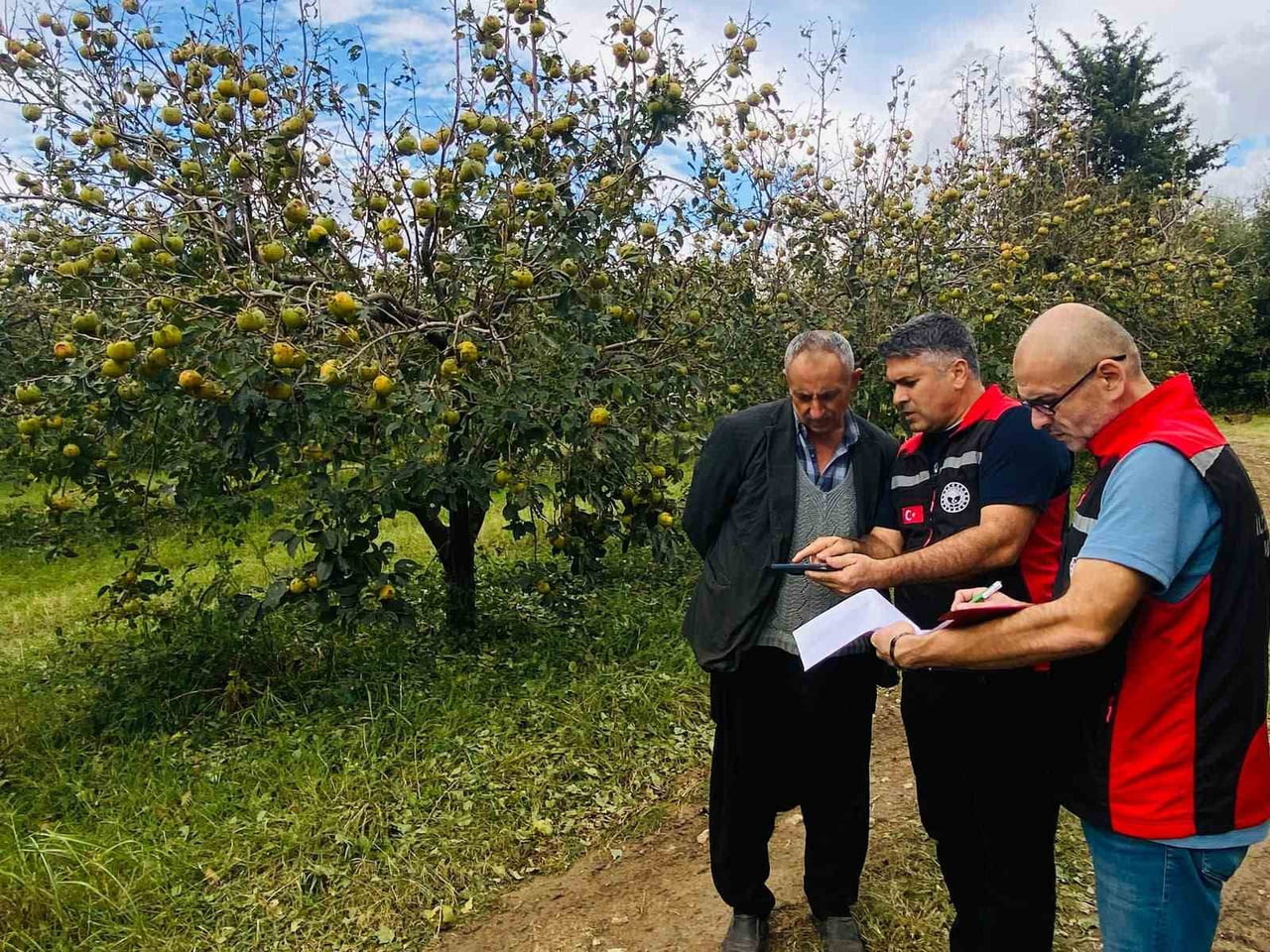 ADANA’NIN KOZAN İLÇESİNDE 14 EKİM GECESİ ETKİLİ OLAN DOLU YAĞIŞININ TARIM ARAZİLERİNDE OLUŞTURDUĞU...
