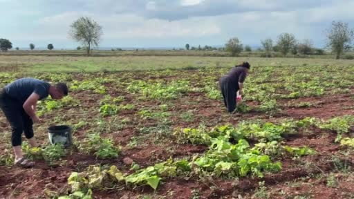 AFAD, Osmaniye'nin Sumbas ilçesinde 5.2 büyüklüğünde deprem meydana geldiğini duyurdu