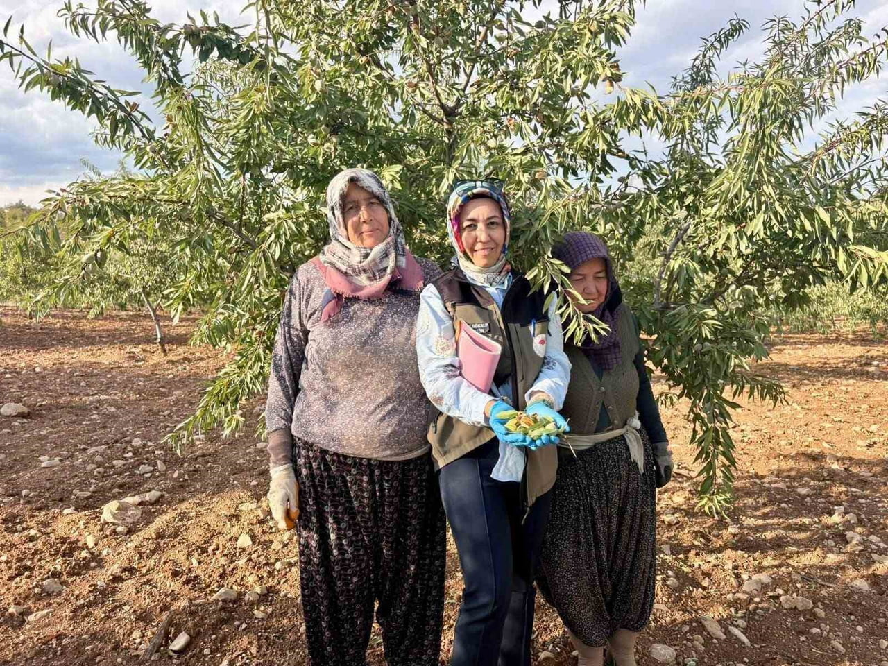 AFYONKARAHİSAR’DA MEYVE BAHÇELERİNDE BİTKİ SAĞLIĞINI TEHDİT EDEN XYLELLA FASTİDİOSA ETMENİNE...