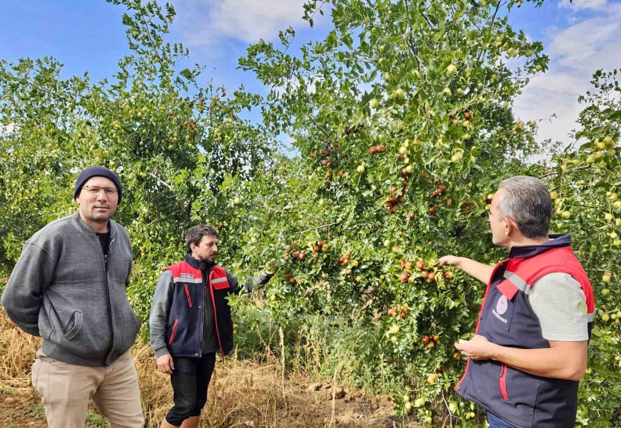 AFYONKARAHİSAR’IN BAŞMAKÇI İLÇESİNDE ALTERNATİF TARIM ÜRÜNLERİNİN YAYGINLAŞTIRILMASI AMACIYLA...