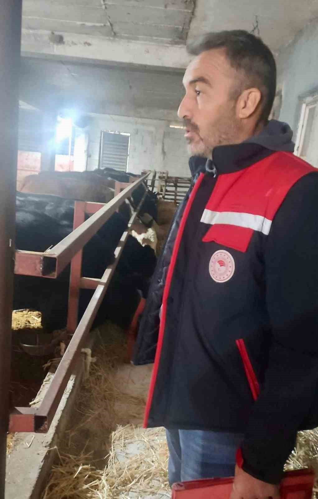 AFYONKARAHİSAR’IN DİNAR İLÇESİNDE HAYVAN SAĞLIĞININ KORUNMASI, HAYVAN HAREKETLERİNİN TAKİBİ VE...
