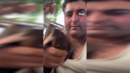 Alanya'da kuşlara vahşet uygulayan şüpheli tutuklandı