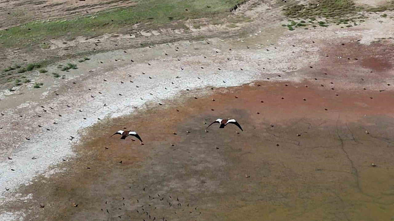 ANGUT KUŞUNUN GÖLET ÜZERİNDEKİ UÇUŞU DRONLA GÖRÜNTÜLENDİ